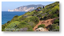 Treekking tra boschi e mare di Nebida