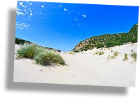 Dune della spiaggia di Cala Domestica