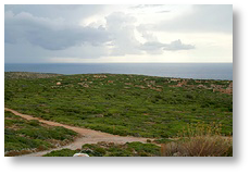 Pianura di Planu Sartu durante il trekking