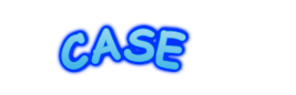 CASE